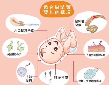 2024十堰人民医院做试管婴儿费用明细,成功率60%(附费用和成功率参考)