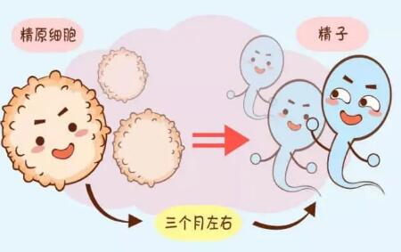 输卵管造影剂对身体有什么副作用?多久能排泄干净?(这份费用明细可供参考)