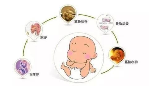 多囊一胎试管婴儿二胎继续，远赴泰国做三代成功凑成“好”字（附2024最新生殖排行榜详情）